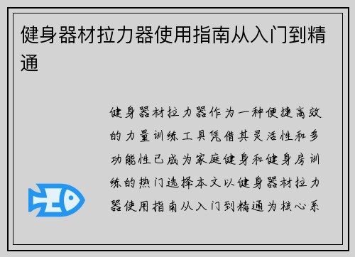 健身器材拉力器使用指南从入门到精通